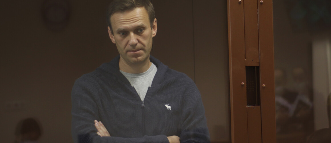 Алексей Навальный (Фото: пресс-служба Бабушкинского районного суда города Москвы)